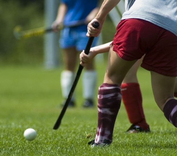 Stort udvalg indenfor computere