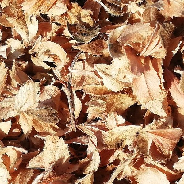 Find ud af hvad for en ferie du har brug for