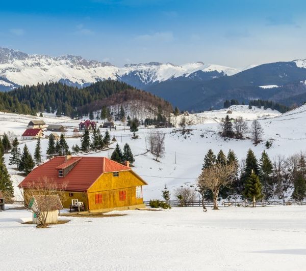 Rejs dig til lykke og gode oplevelser
