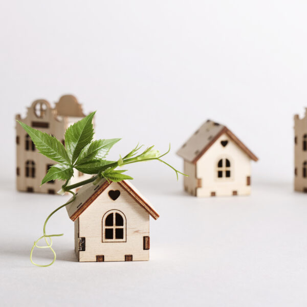 Professionel samarbejdspartner – Klimavenligt Byggeri